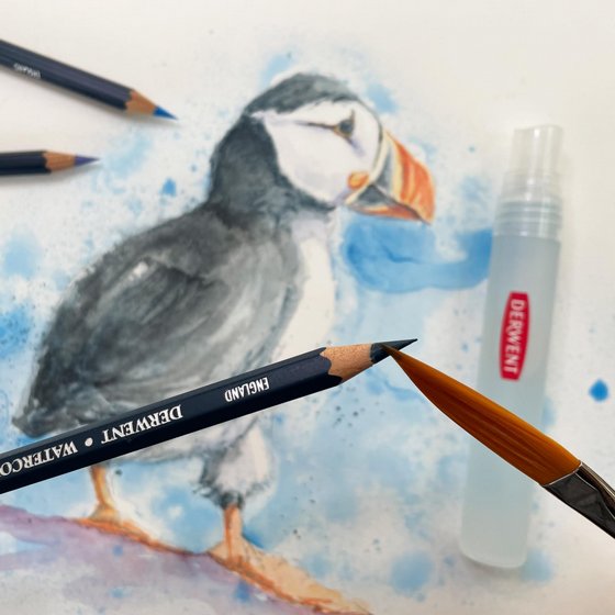 Derwent Watercolour ������� �������� ������ ���� 72 �����