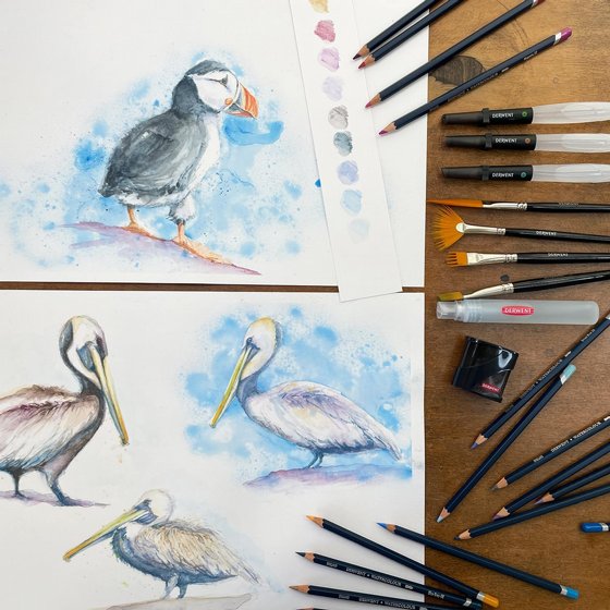 Derwent Watercolour ������� �������� ������ ���� 72 �����