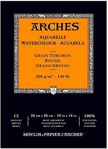 ����  ������ ARCHES- ������ 300 ��� 