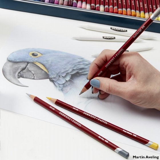 Derwent Pastel ������� ���� �������� 24 �����