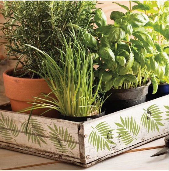 DecoArt Americana ���� ������� ������� 59 �"�- ������
