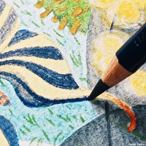 Derwent Inktense ������� �������� ��� 12 �����