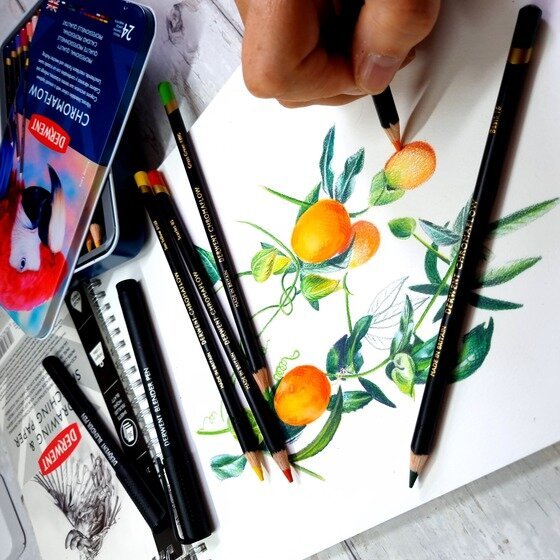 Derwent CHROMAFLOW �� 24 ������� ��������