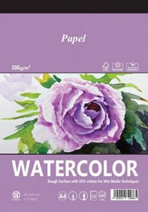 ���� ���� ����� ��� A3 300 ��� PAPEL ������ ��������
