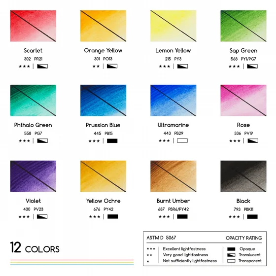 MEEDEN �������� ���� ��� 24 ����� 12 ��